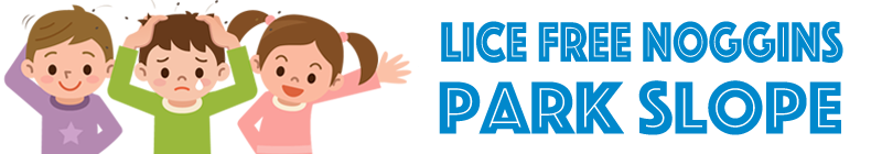 Lice Free Noggins Park Slope